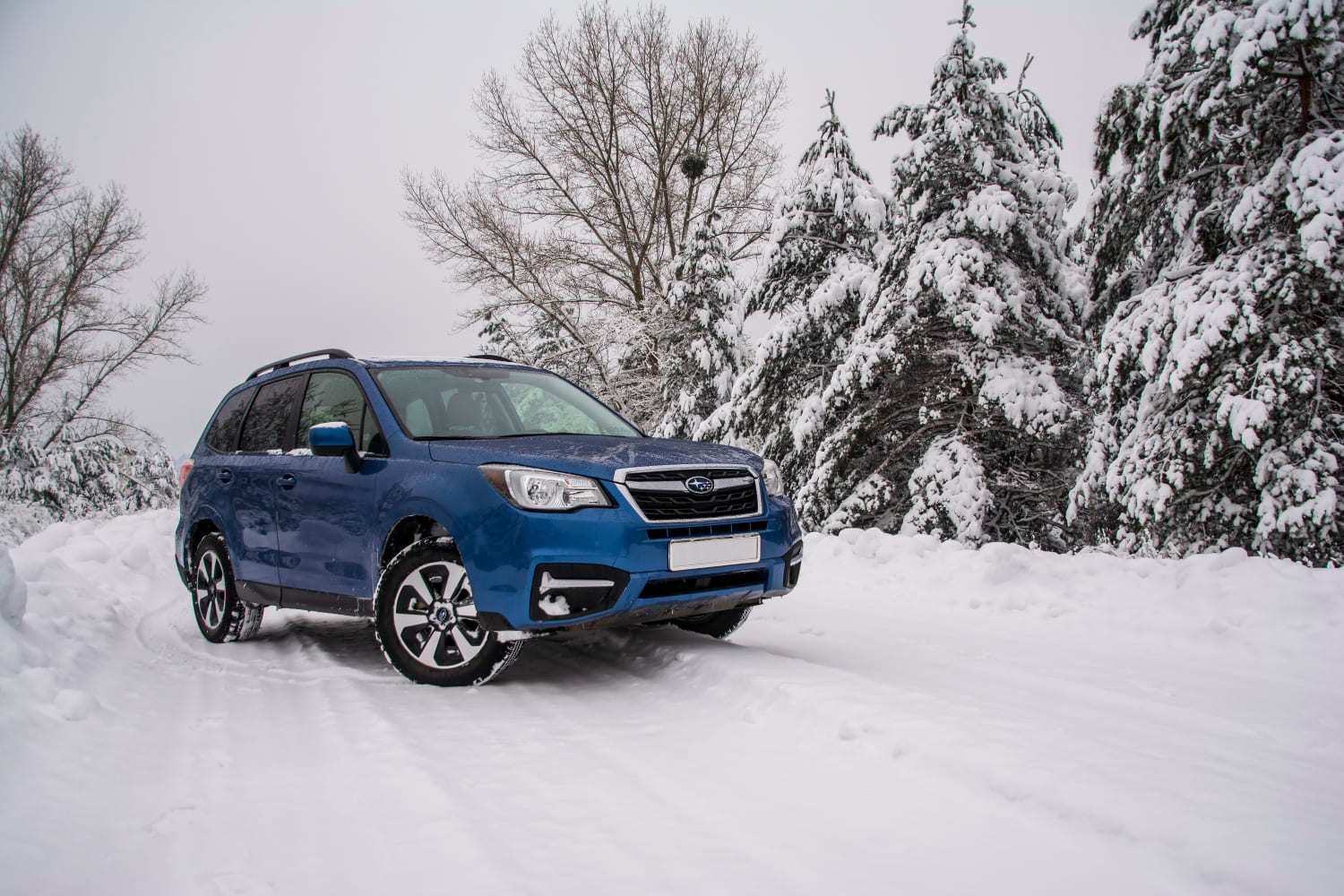 best subaru forester services